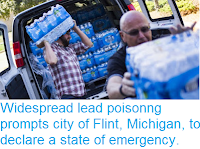 https://sciencythoughts.blogspot.com/2015/12/widespread-lead-poisonng-prompts-city.html