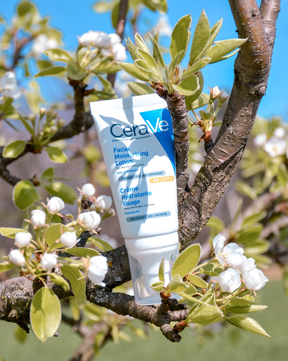 Quick Review of CeraVe AM Facial Moisturizing Lotion — Lana Talks