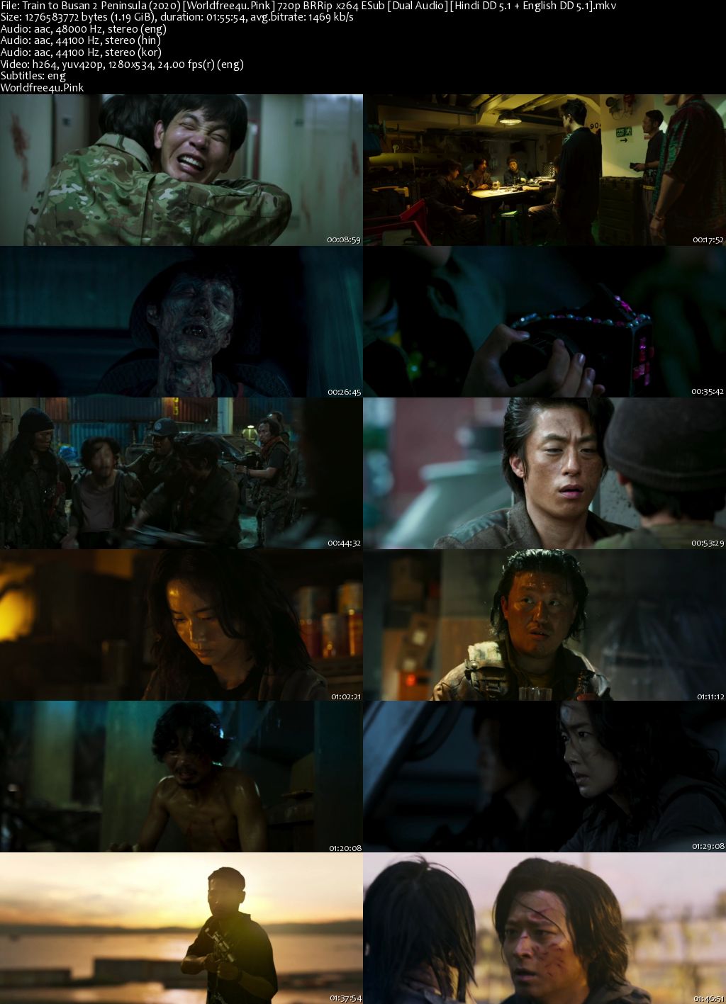 Train to Busan Presents: Peninsula 2020 BRRip 720p Dual Audio