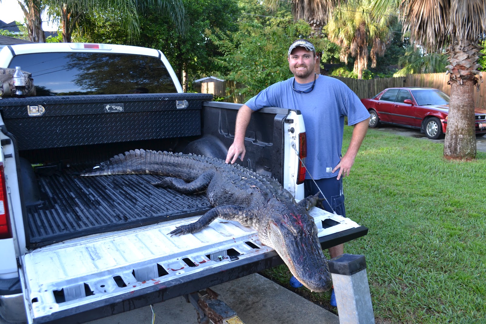 The Wild Life Adjusting Florida's Gator Hunting Application System