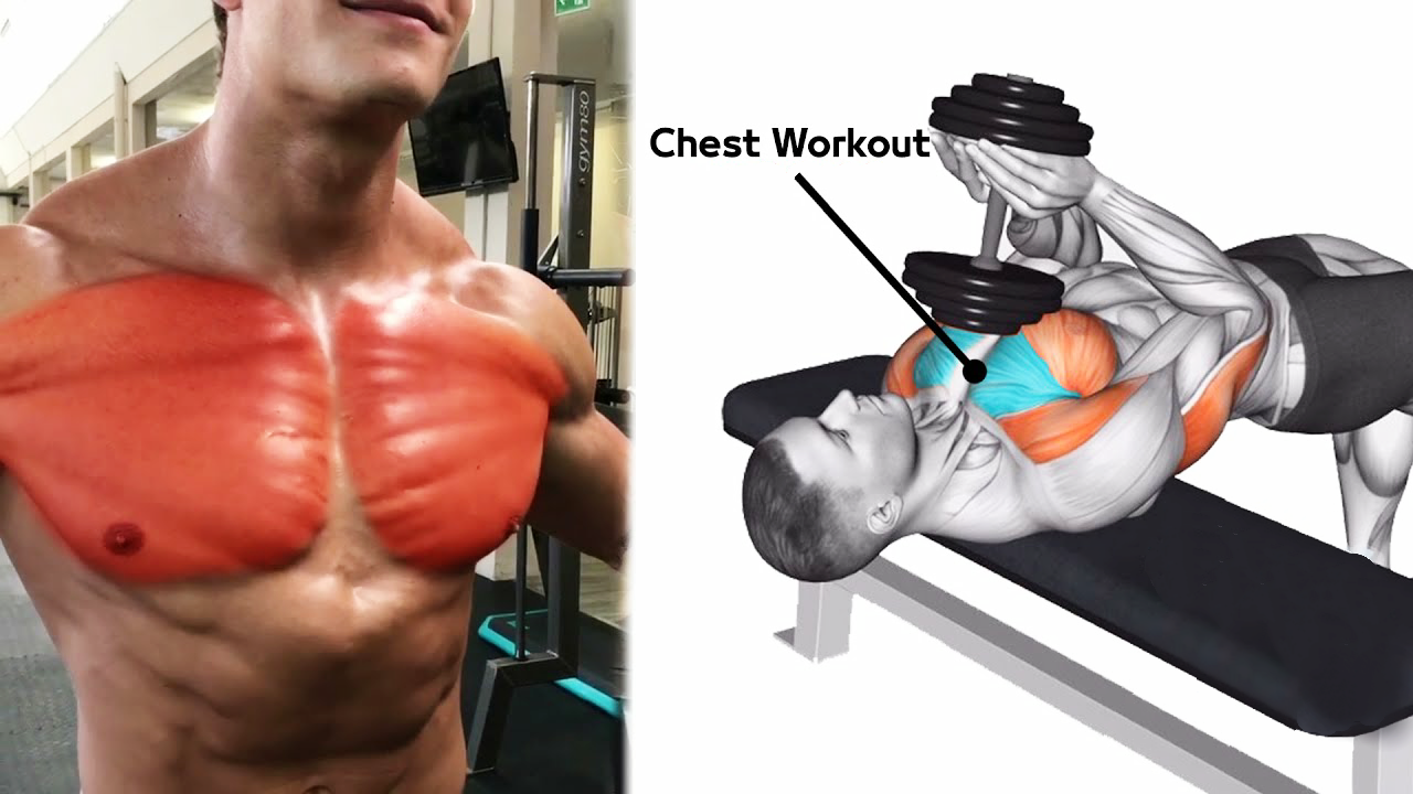 The strongest 6 Exercises to Build Chest Muscle Growth Fitness Freak