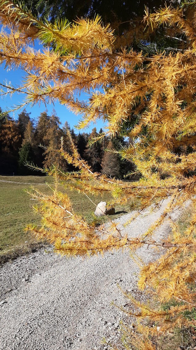 passo della mendola malga romeno