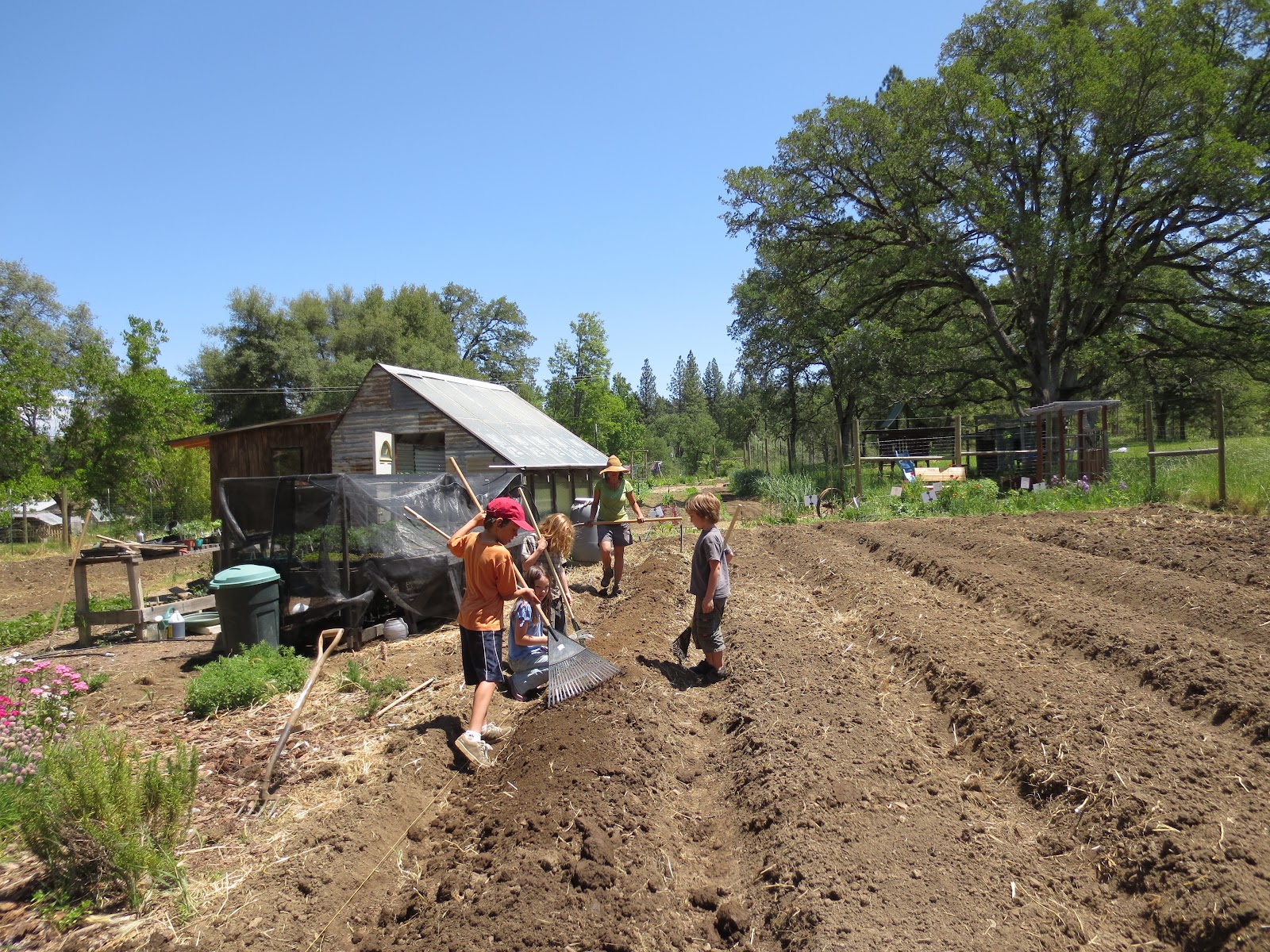 yuba-river-charter-school-home-study-farm-program-the-farm-is-expanding
