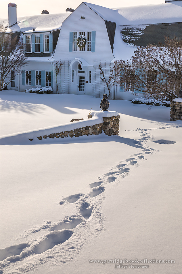 Getting it Right in the Digital Camera Christmas at the Fells