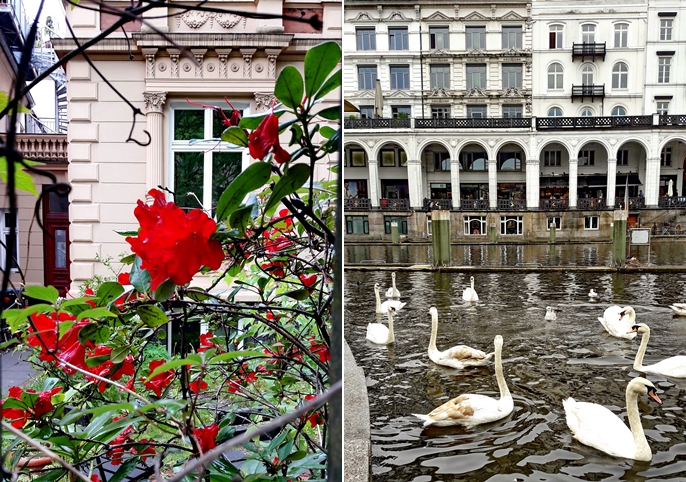 Vita Brevis Ars Longa Seite 52