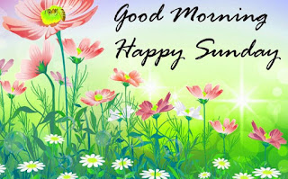 Lovely Good Morning Sunday Images HD | Happy Sunday Picture