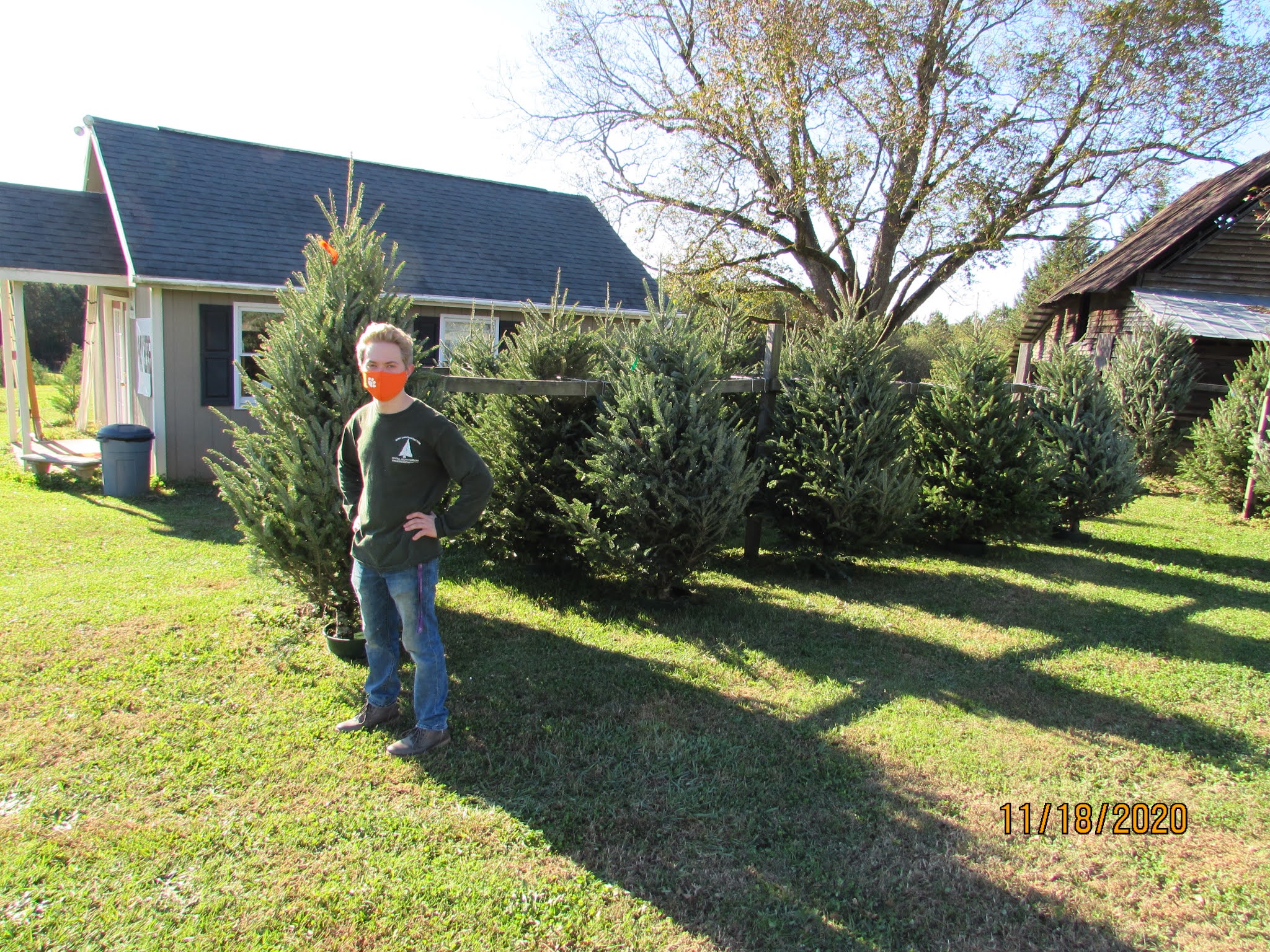 Merry Christmas Tree Farm