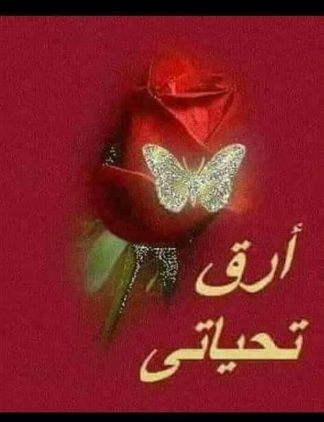 الباحث عن الوفاء Twitterren شكرا لكي سيدتي هذا من ذوقج