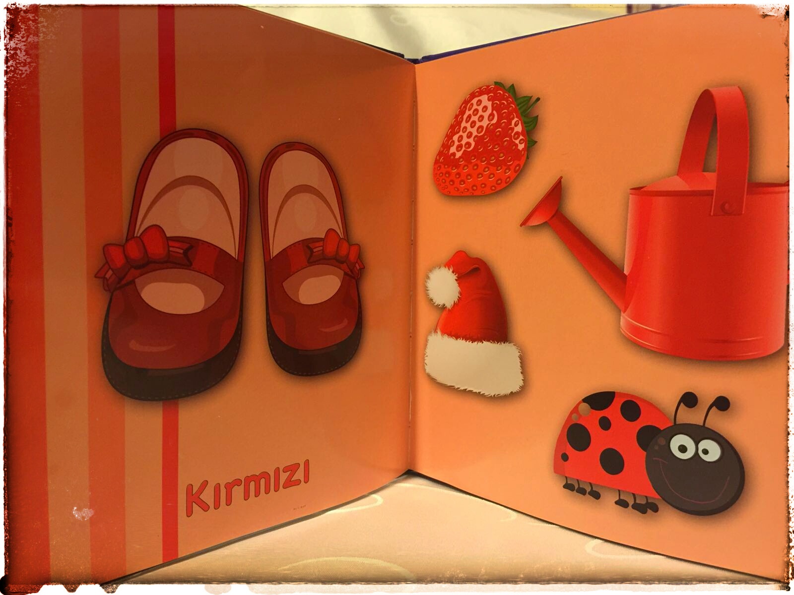 Selimo�nun Kitapları Rengarenk Mutlu Bebek Kitaplığı