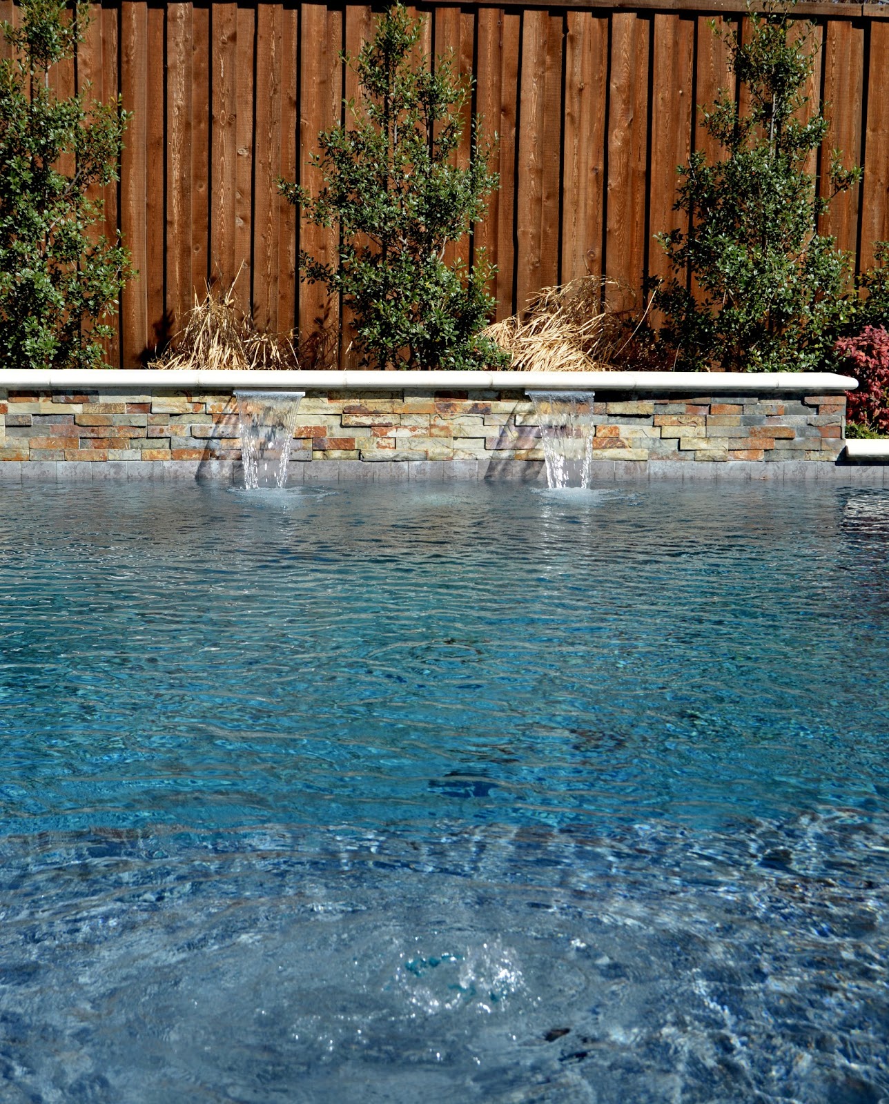 sam s outdoor living forney tx on Sam S Outdoor Living Dallas Tx Pools