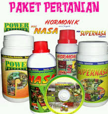 www.agenpupuksupernasa.com agen pupuk nasa di tanjung karang