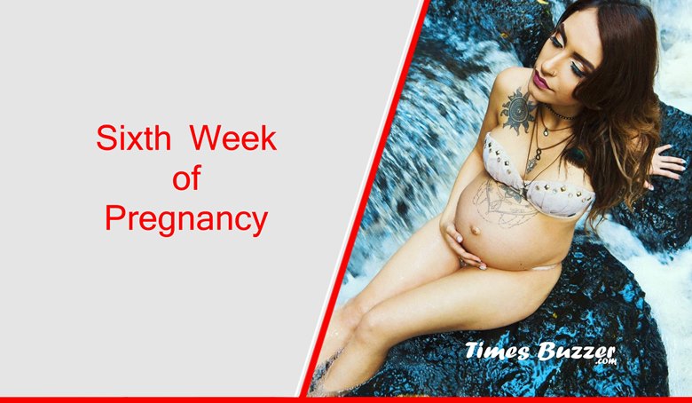 Sixth Week of Pregnancy