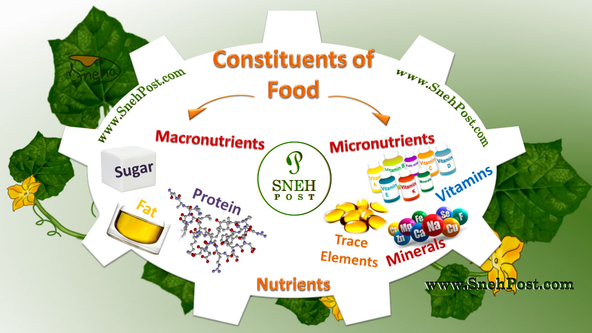 List of nutrients for nutrition: Macronutrients and Micronutrients types and whopping food sources of dietary constituents of food in illustration chart