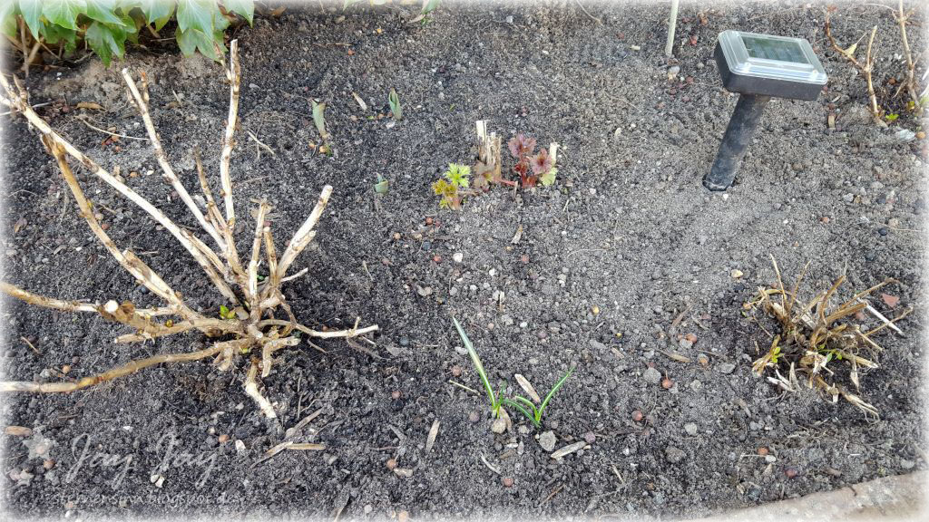 Sternensinn Garten Und Mehr Marz 2016