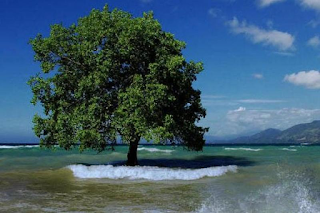 Tempat wsiata di alor yang harus anda kunjungi