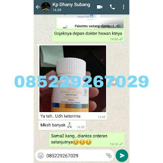 hub 085229267029 Jual Produk Tiens Asli Bersegel Resmi Original Di Mamberamo Raya Agen Distributor Cabang Stokis Toko Resmi Tiens Syariah Indonesia. ASLI DIJAMIN ORIGINAL