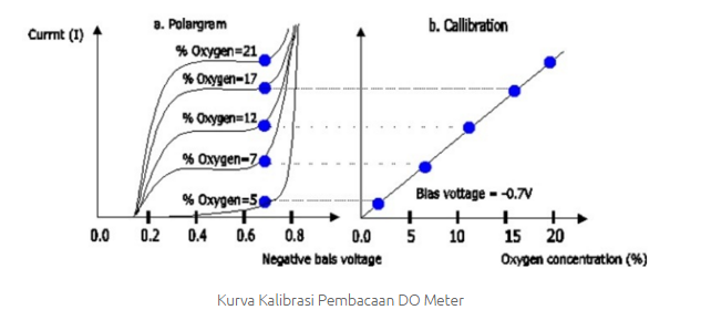 kalibrasi do dissolved oxygen meter