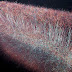 Scientists Have Discovered A Multidimensional Universe Inside The Brain