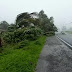 El ciclón tropical Harold golpea a Fiyi
