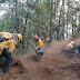 Controlados, los incendios en Áporo-Senguio y Los Reyes-Tangancícuaro