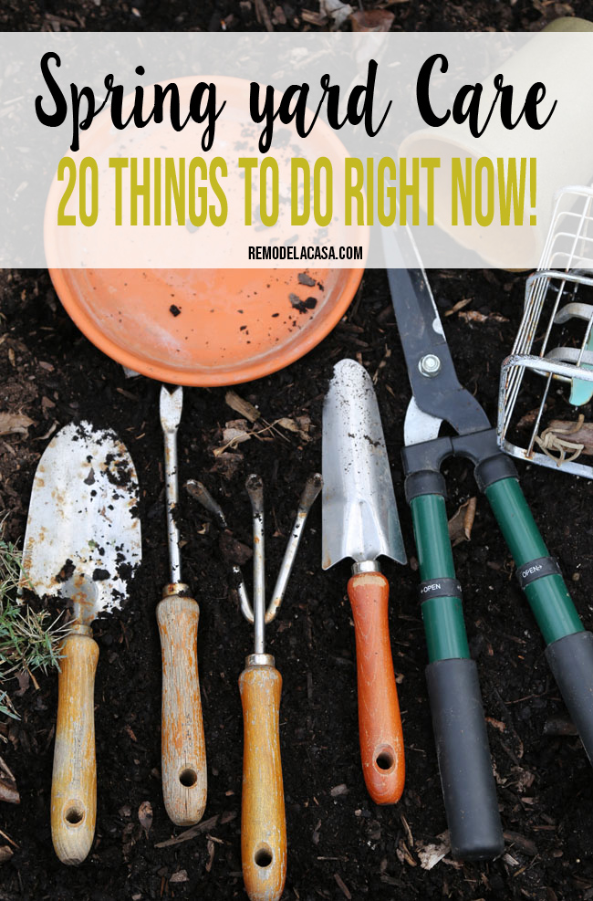hand gardening tools on soil