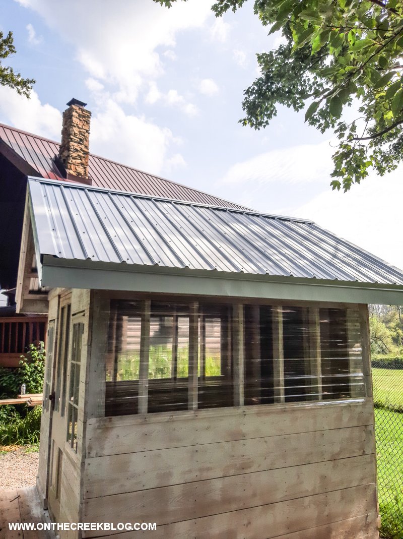 Greenhouse Tin Roof