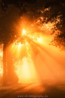 Naturfotografie Sonnenaufgang Diepholzer Moorniederung