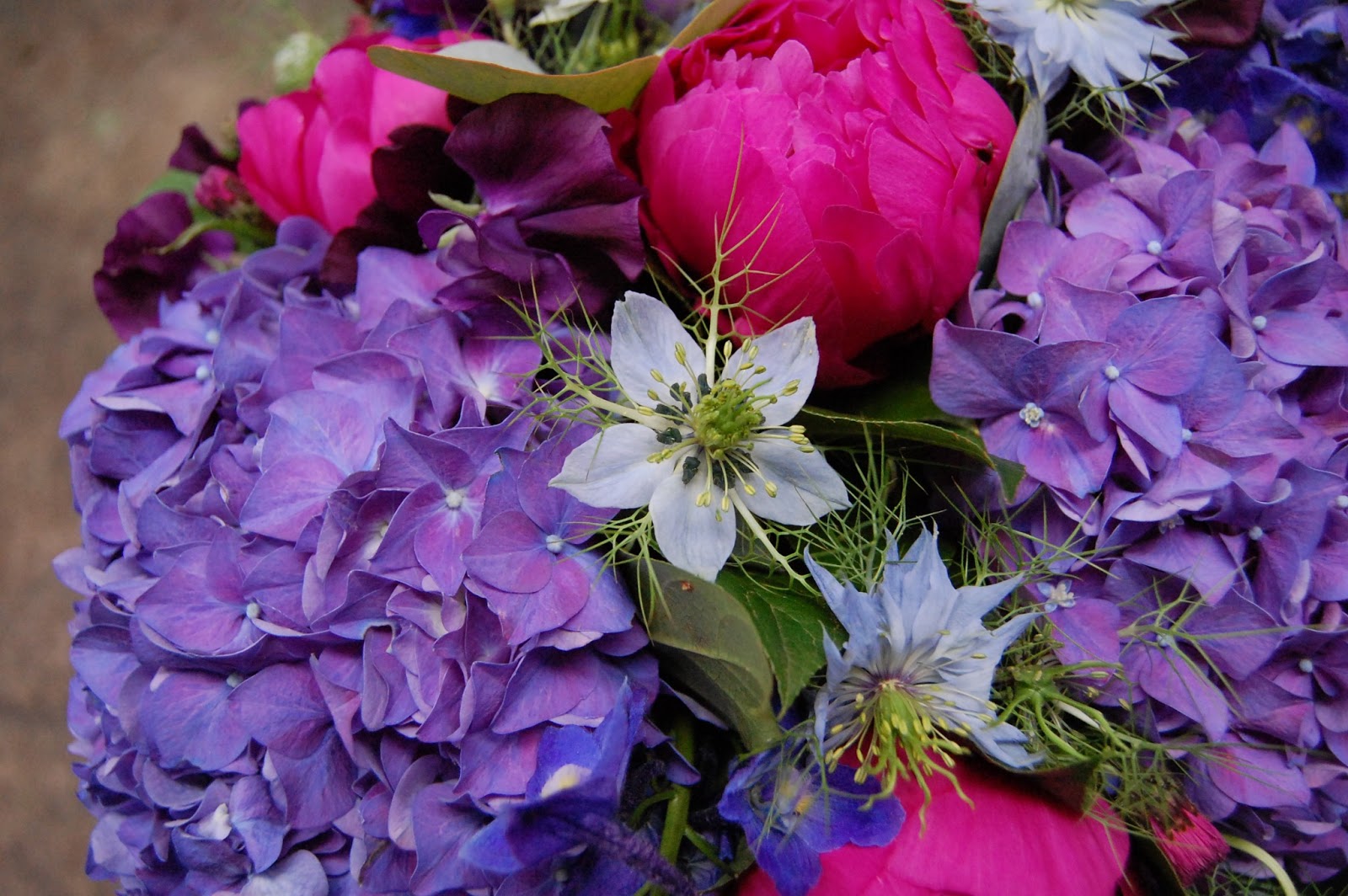 Mood Flowers June 2013