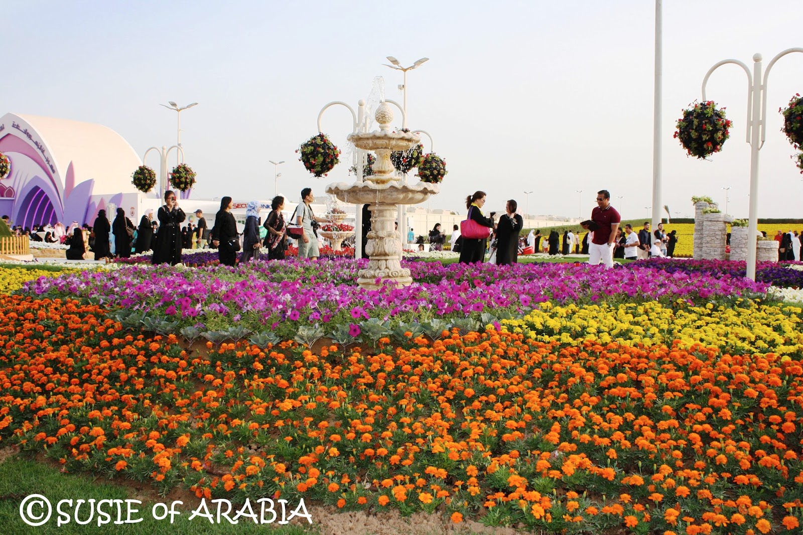 SUSIE of ARABIA Yanbu Flower Festival 2016
