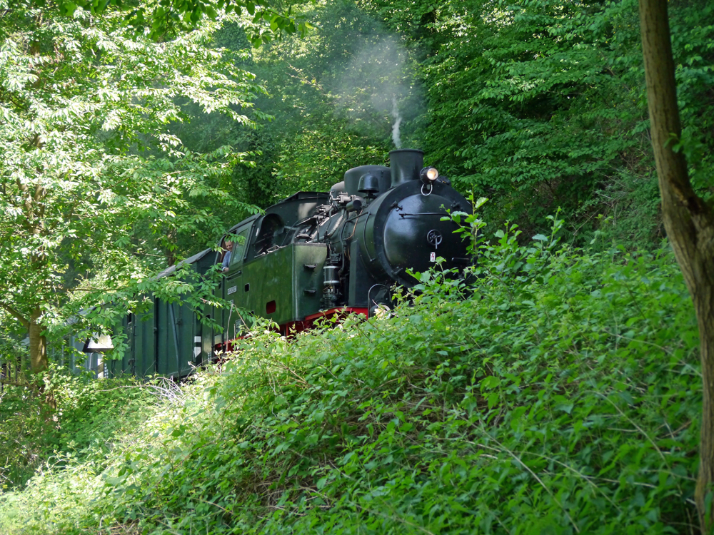 Join Janine April 2009