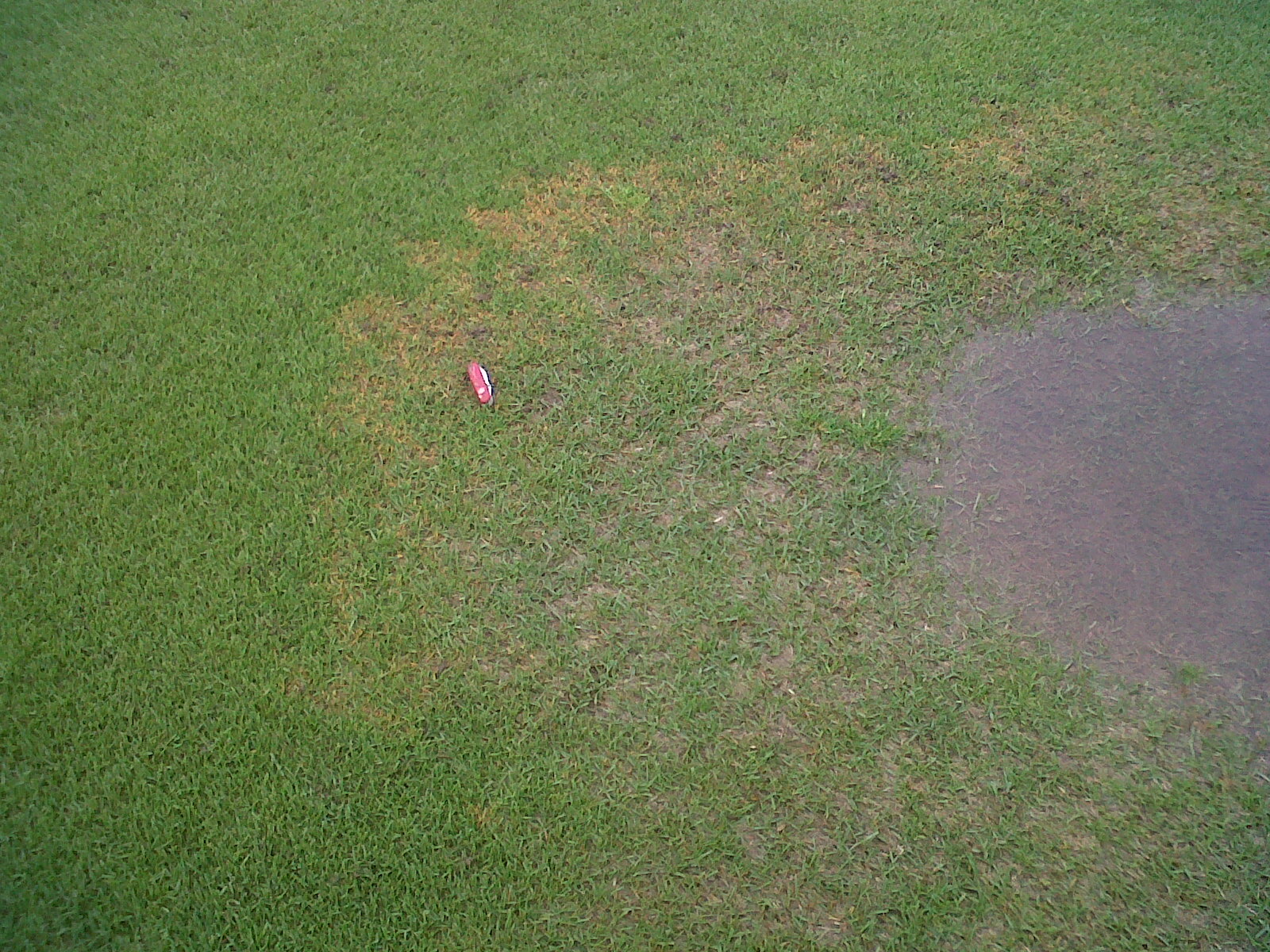 The Hyde Park Golf and Country Club Grounds Department Large Patch on