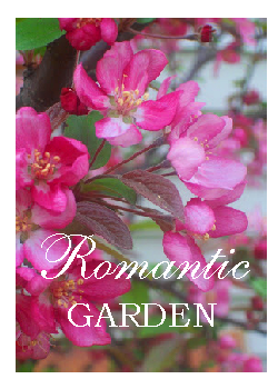 Poetic Garden Notebook