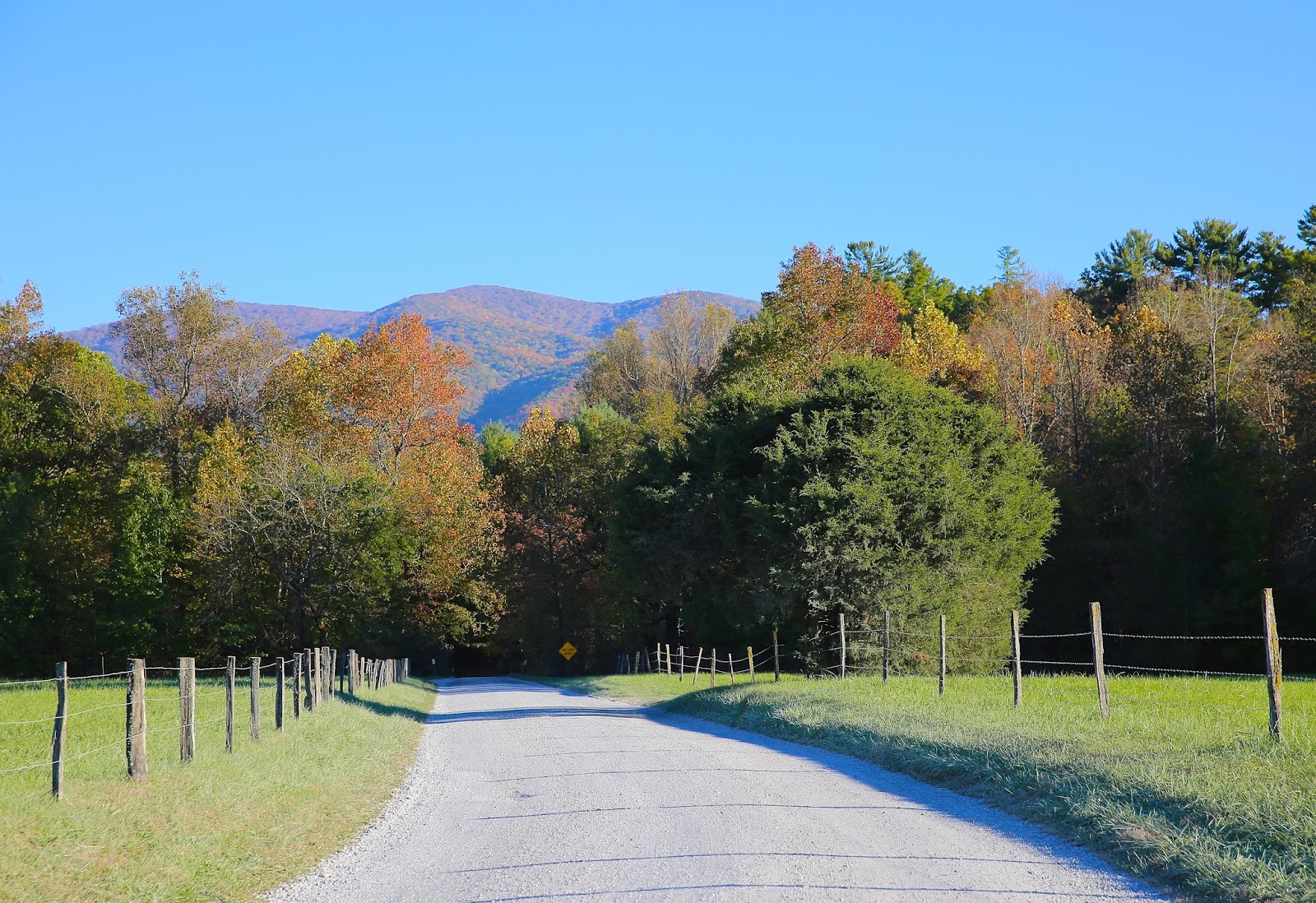 Sweet Southern Days Parson Branch Road In The Great Smoky Mountains