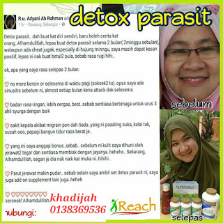 Testimoni detox shaklee