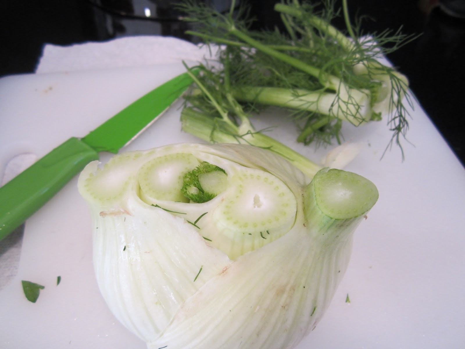The Full Plate Blog what does a fennel bulb look like?
