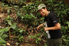 Near a tarantula nest in Thailand!