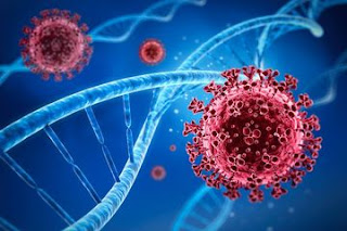 Mutasi Virus Corona: Fakta yang Perlu Diketahui