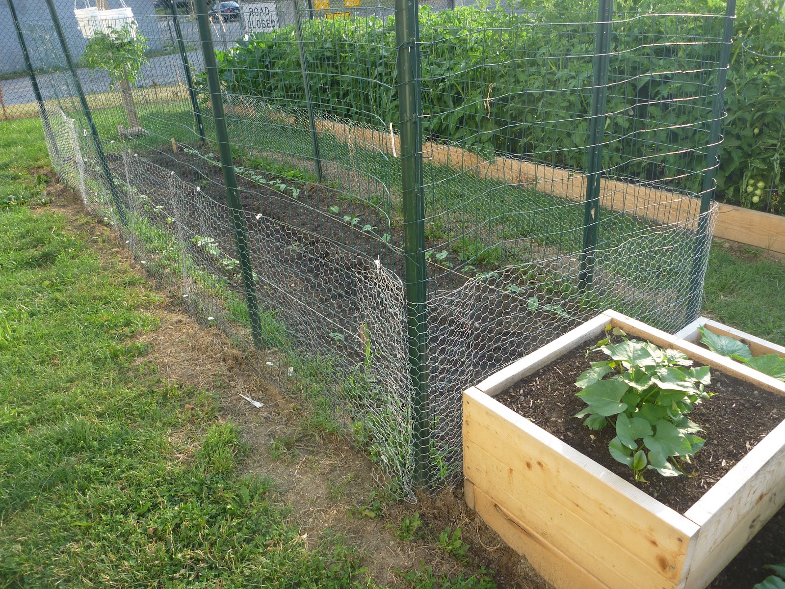 Fence To Keep Groundhogs Out Of Garden | Fasci Garden