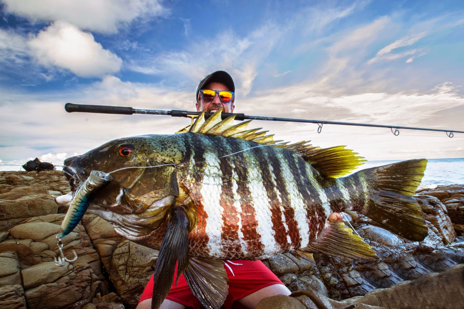 Pargo Roquero & Sebile Splasher | Kill the Rutine