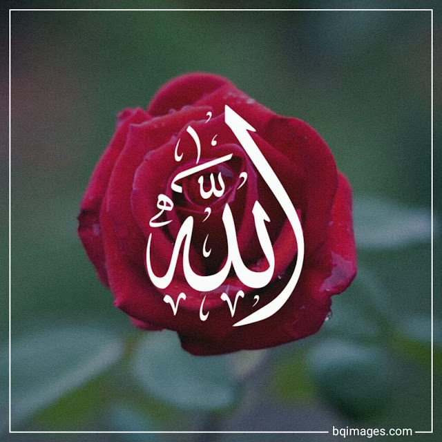 allah images for whatsapp dp download