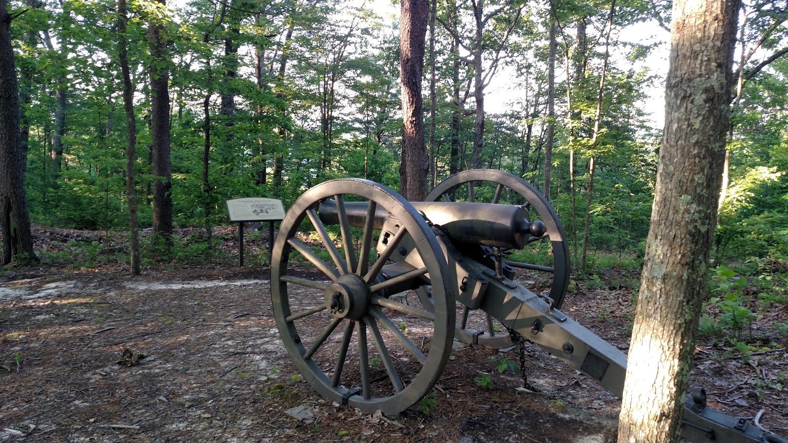 With the 17th Ohio at Camp Wildcat