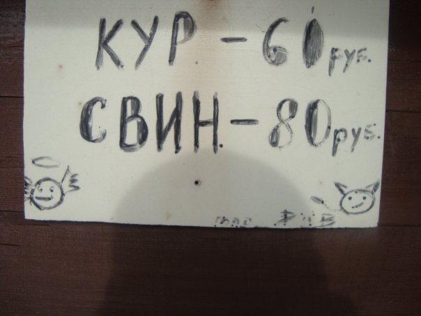 Свин и кур