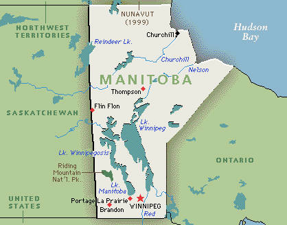 gli ingredienti magici: la farina manitoba