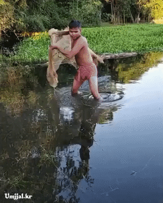 umjjal_kr_031.gif