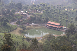 Photo of Among the Gaurs at Kotagiri 49/71 by Balachandra