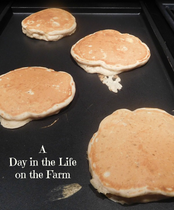 A Day in the Life on the Farm Peanut Butter and Apple Griddle Cakes