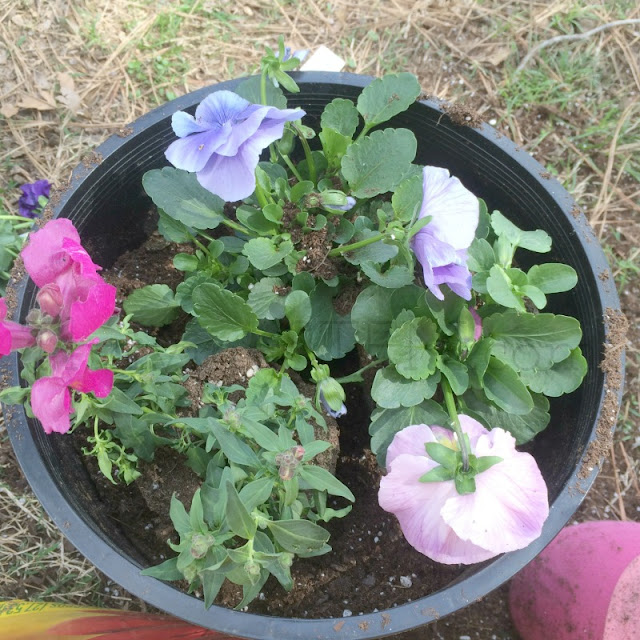 My toddler loved making these planters!