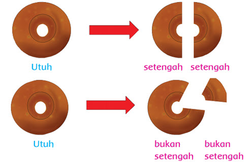 Pecahan Setengah