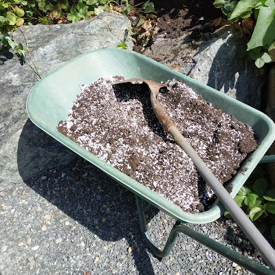 Perlite and organic-rich top soil Perlite mixed with organic-rich top soil