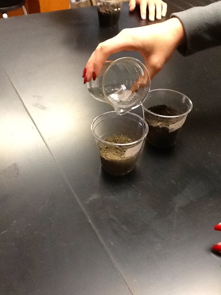 Soil The Foundation of Life Controlled experiment